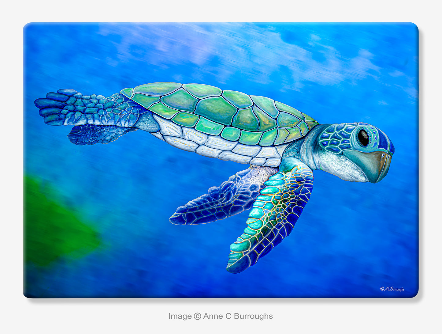 Safe Passage Cutting Board