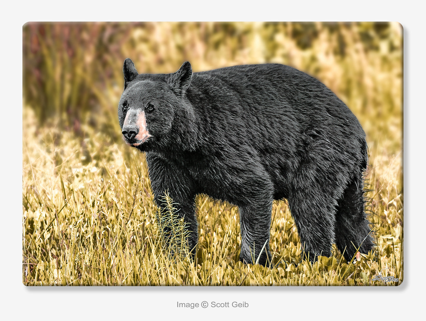 Autumn Bear Small Cutting Board